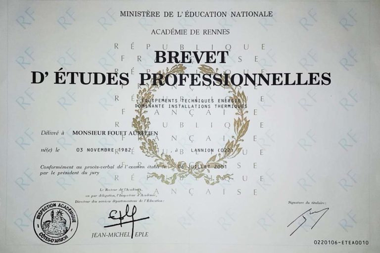 Brevet d'études professionnelles